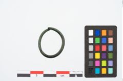 Foto von Bronzering (NHMW-PRAE-026374)